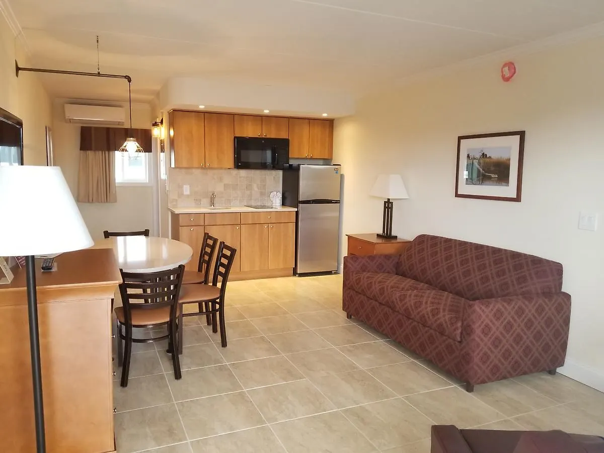 Hotel Desert 3*