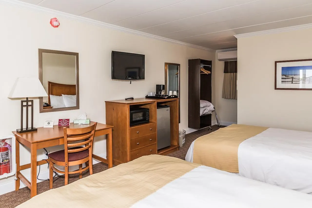 Hotel Desert 3*