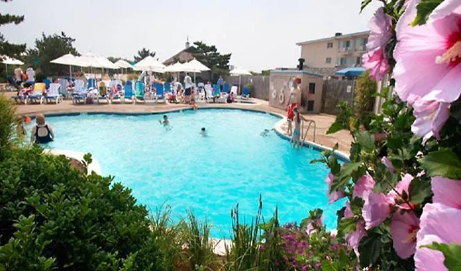Hotel Golden 3*